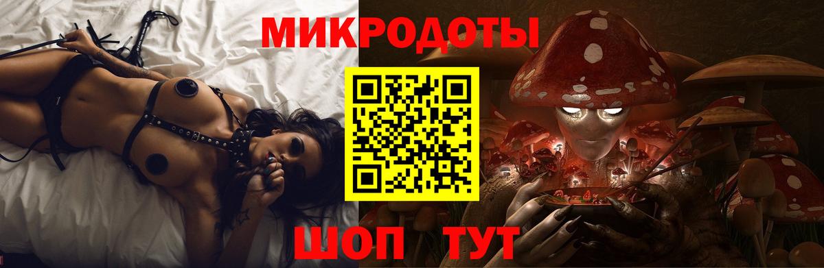 Галлюциногенные грибы Psilocybine cubensis Надым